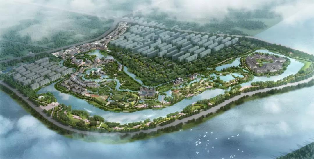 1576028688183100.jpg 2.jpg