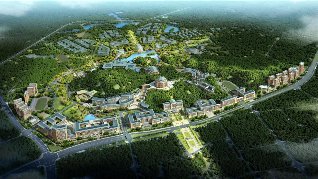 1597988759234553.jpg 14.jpg