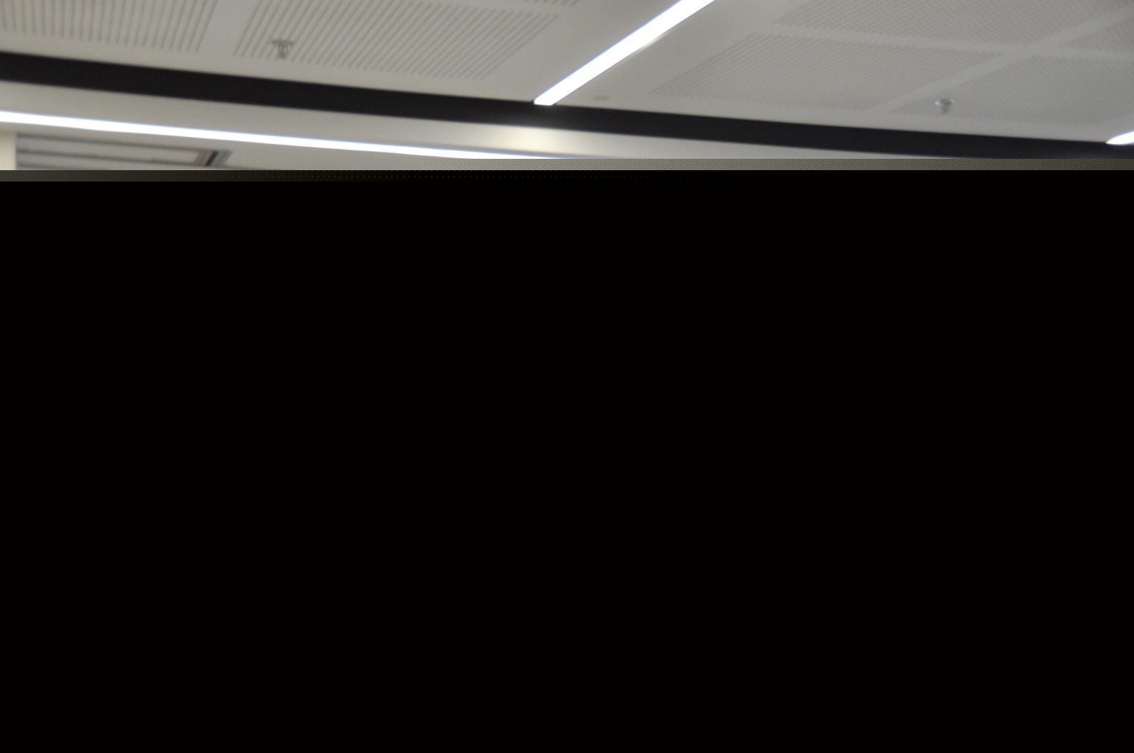 1604624025578185.jpg 蔡利平2.JPG