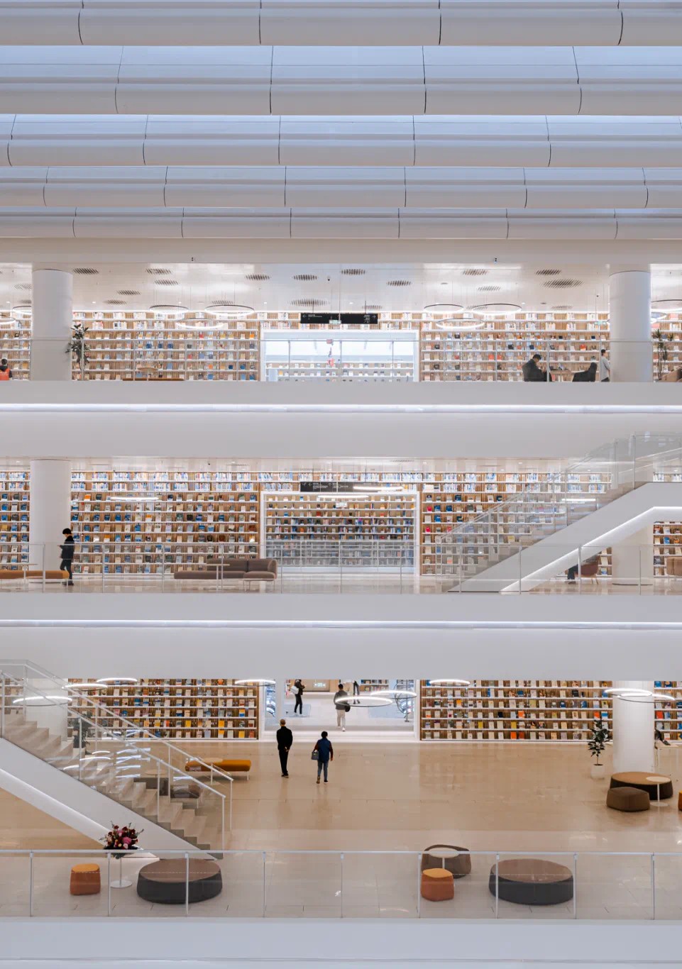 1711672701924972.jpg 1711672701924972.jpg