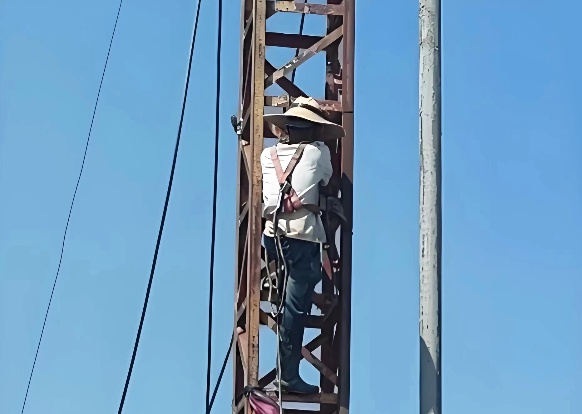 1723079792877838.png 1723079792877838.png