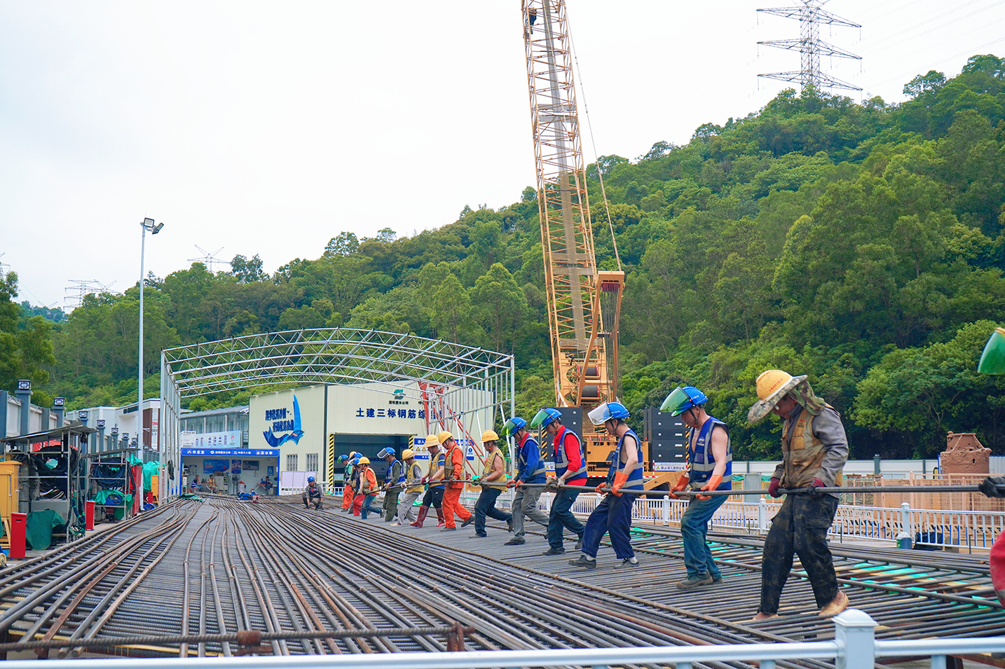 1731371019976979.png 1731371019976979.png