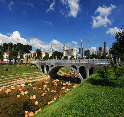 光明區全面消除黑臭水體治理工程（光明水質凈化廠服務范圍）項目